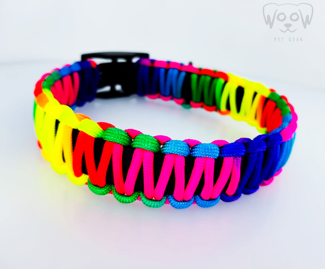 Rainbow - Beta BioThane Lolipop ogrlica