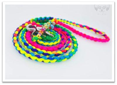 Rainbow - Paracord pleteni povodac