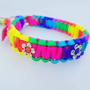 Rainbow - BioThane Plus ogrlica