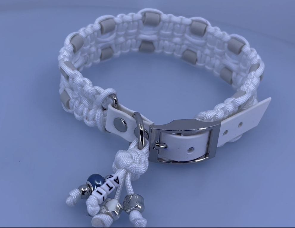 WOOW PET GEAR EXTRA STRONG WHITE EM COLLAR WOOW PET GEAR EXTRA STRONG WHITE EM COLLAR
